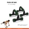 Push Up Stand