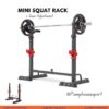 Mini Squat Rack