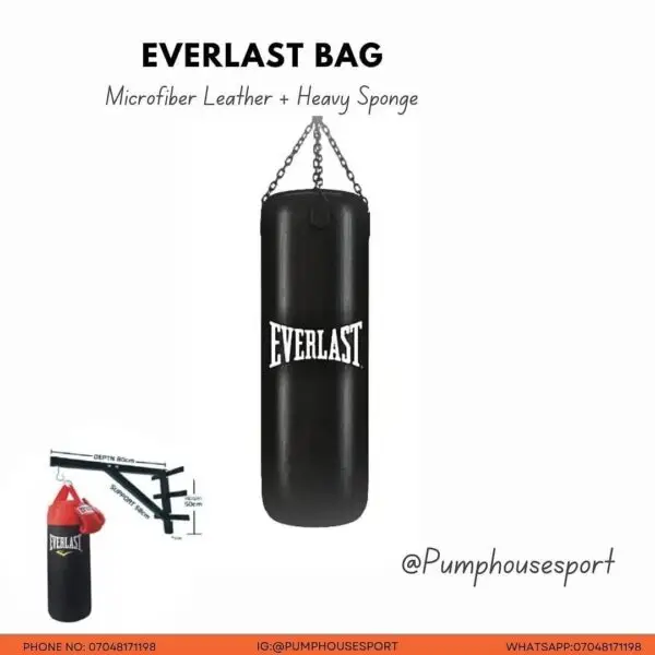 Everlast Punching Bag