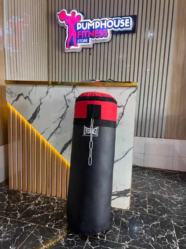 Everlast Punching Bag - Image 4