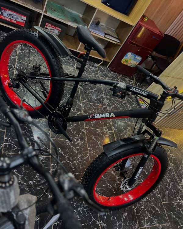 Fat Tyre Bicycle - Image 3