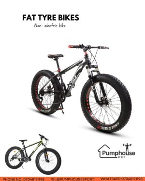 Fat Tyre Bicycle