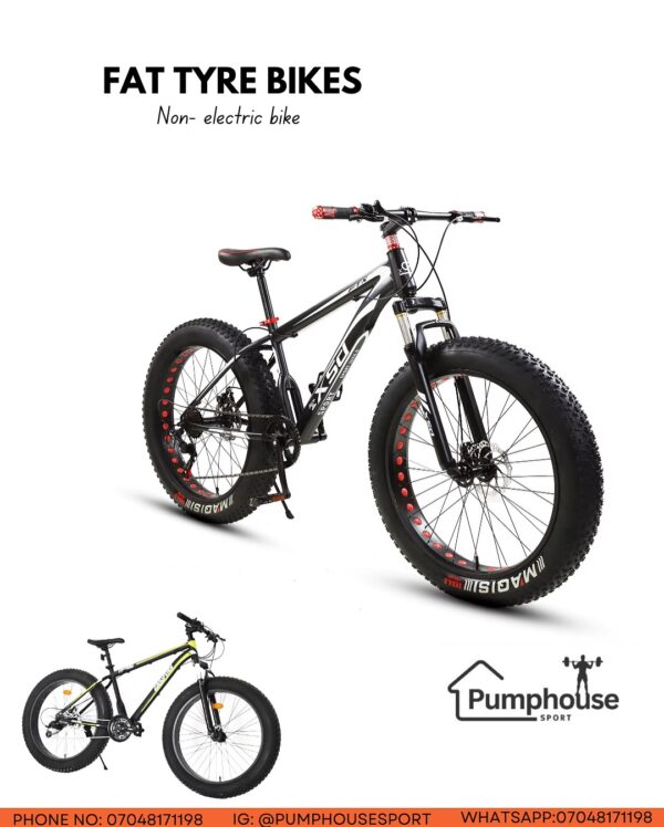 Fat Tyre Bicycle