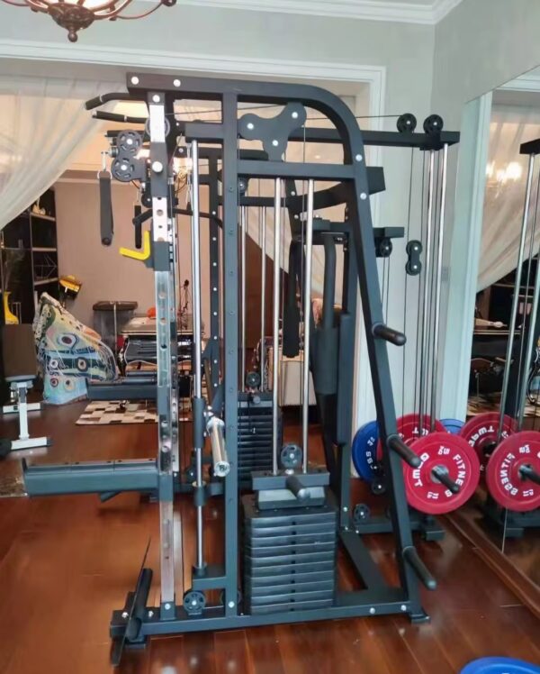 Weighted Smith Machine - Image 3